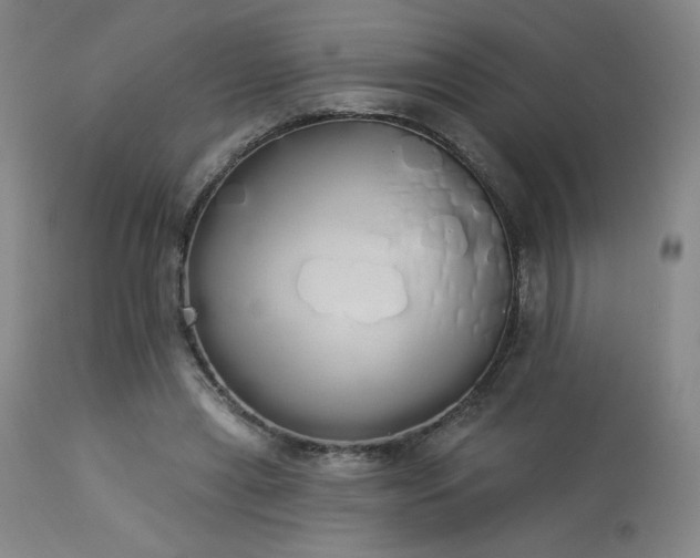X0000114000445200910021320