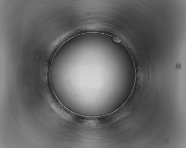 X0000114000446200910021320