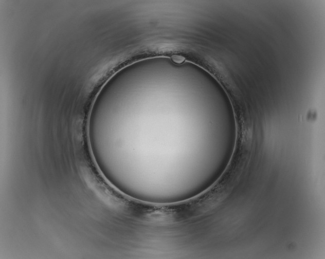 X0000114000447200910021320