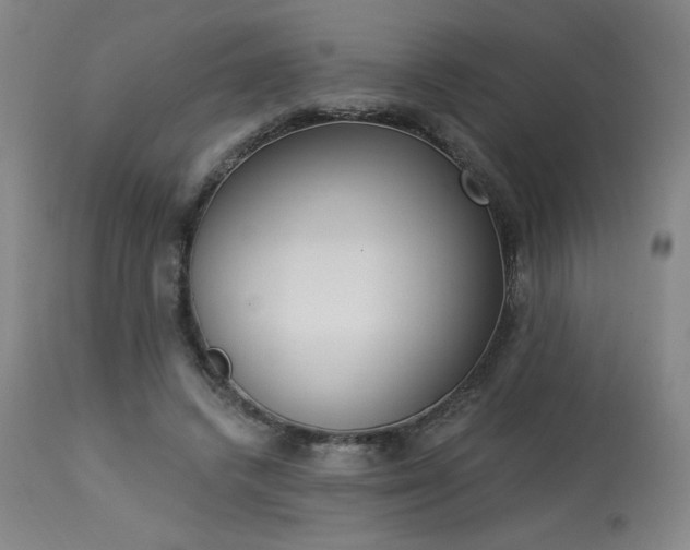 X0000114000448200910021320