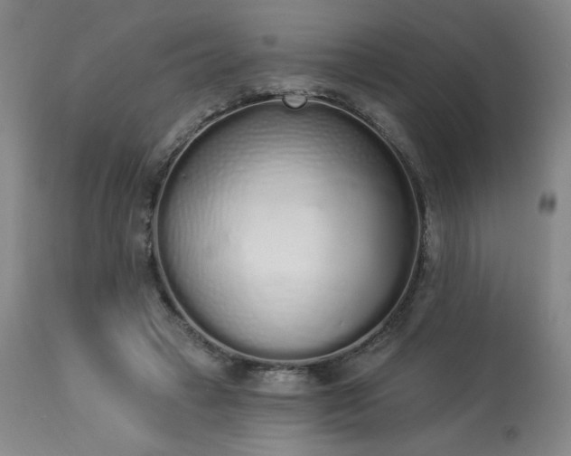 X0000114000449200910021320