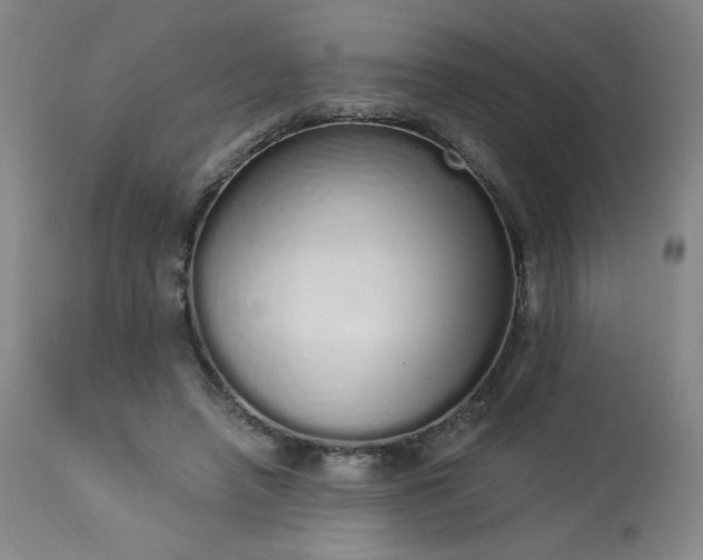 X0000114000450200910021320