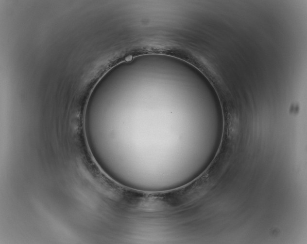 X0000114000451200910021320