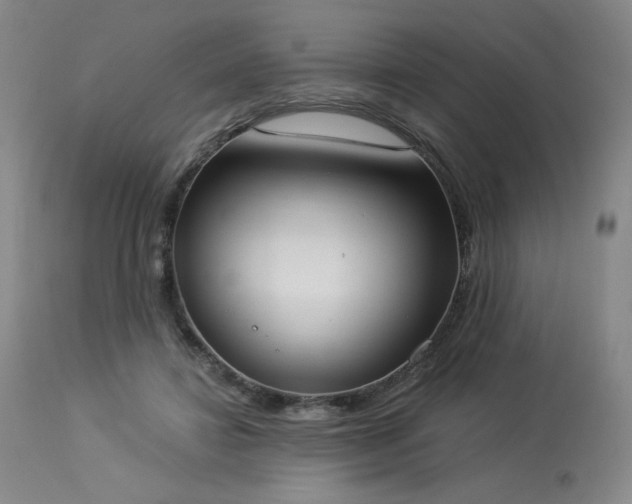 X0000114000452200910021320