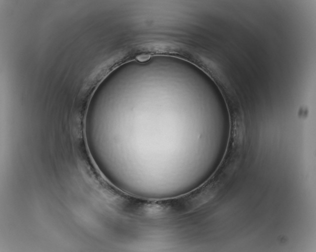 X0000114000453200910021320