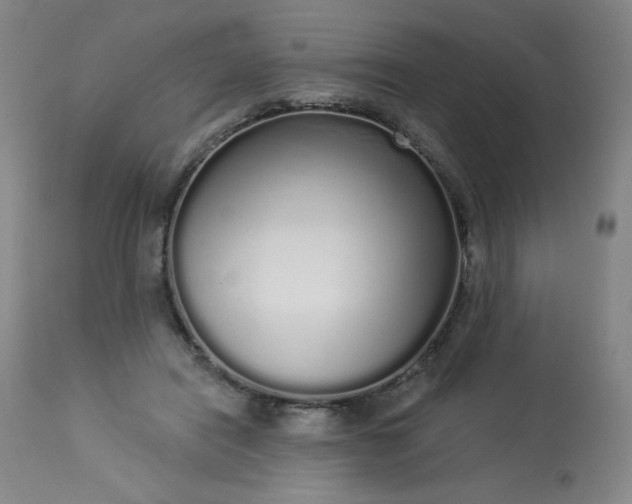 X0000114000454200910021320