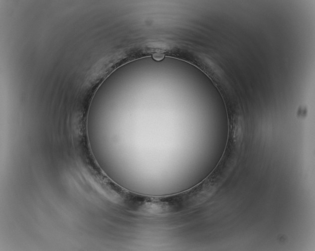 X0000114000455200910021320