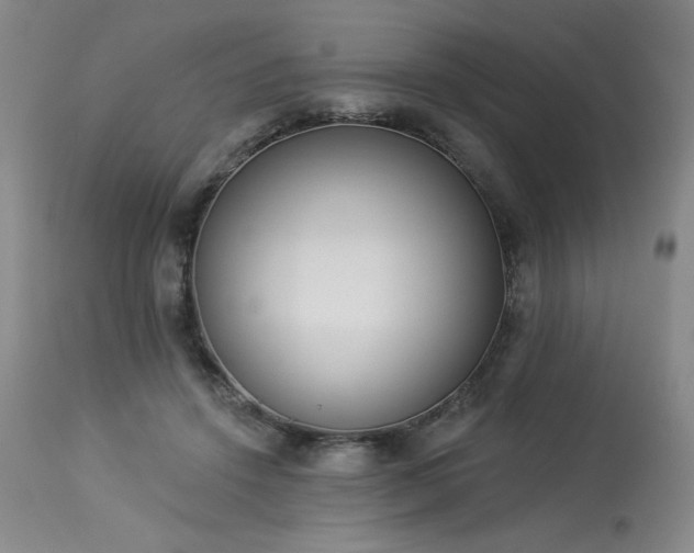X0000114000456200910021320