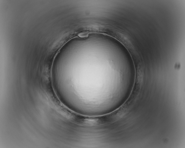 X0000114000457200910021320