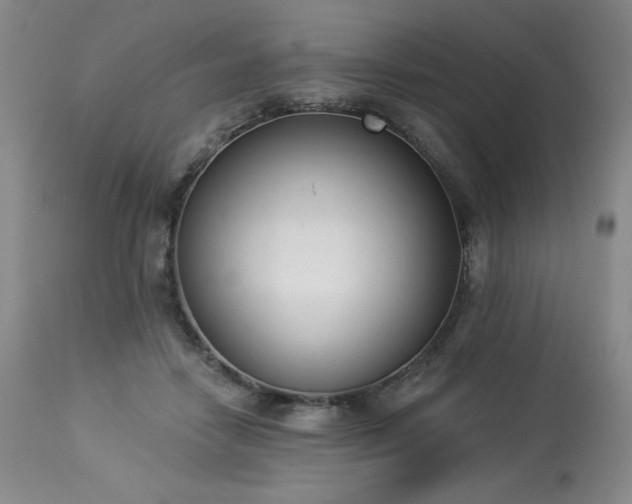 X0000114000458200910021320
