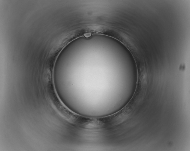 X0000114000459200910021320