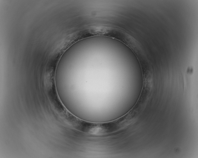 X0000114000460200910021320