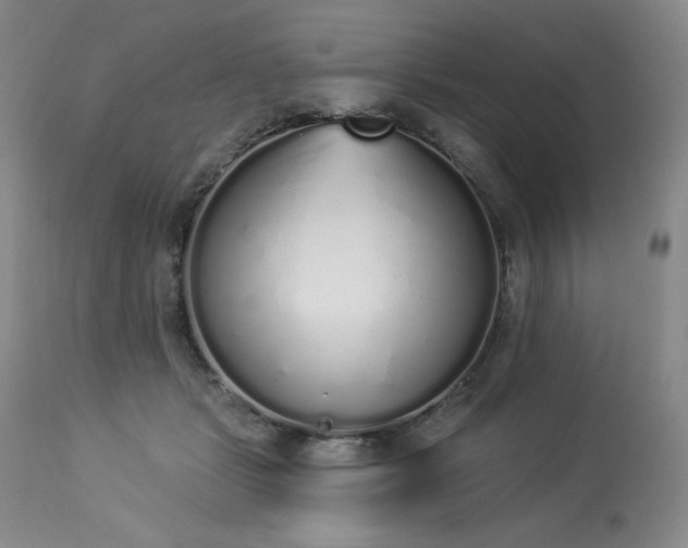 X0000114000461200910021320