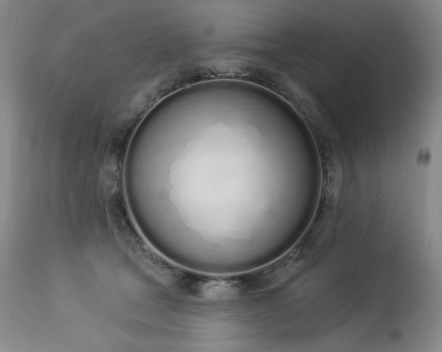 X0000114000465200910021320