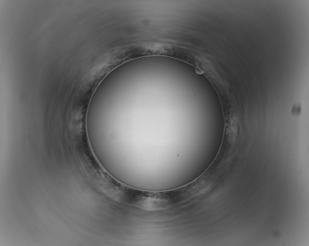 X0000114000466200910021320