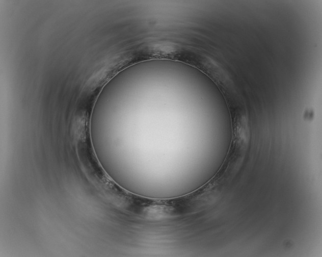 X0000114000468200910021320