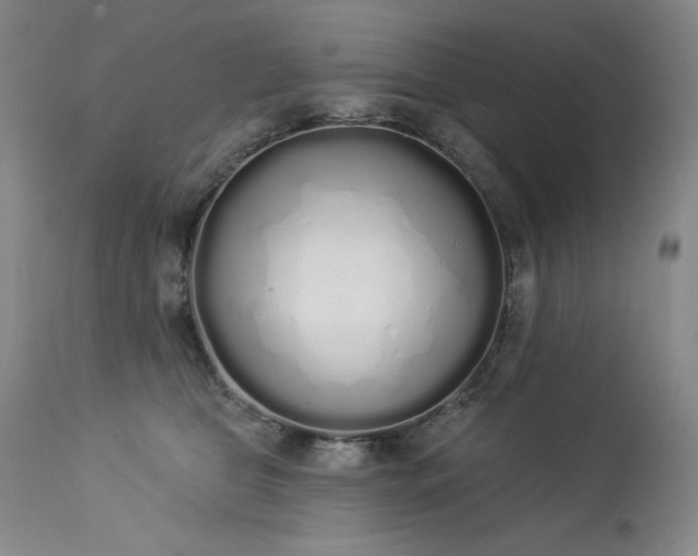 X0000114000469200910021320