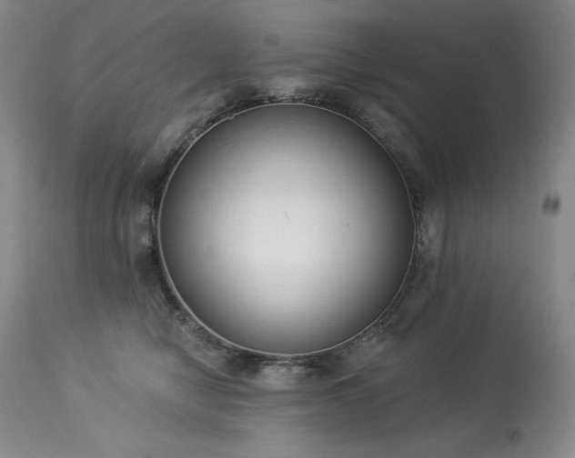 X0000114000470200910021320