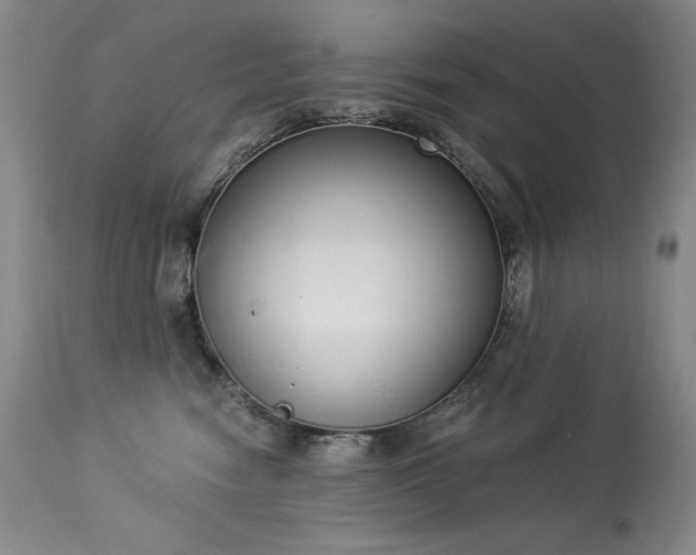 X0000114000474200910021320