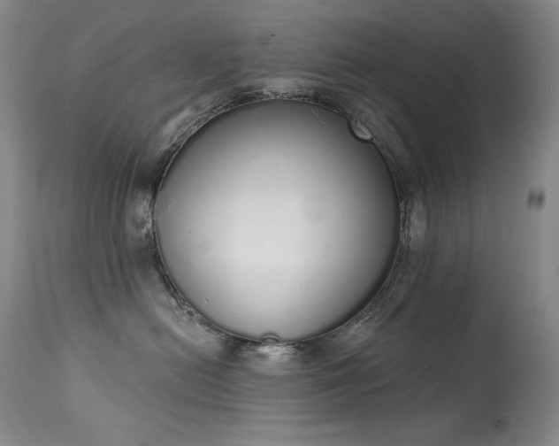 X0000114000478200910021320