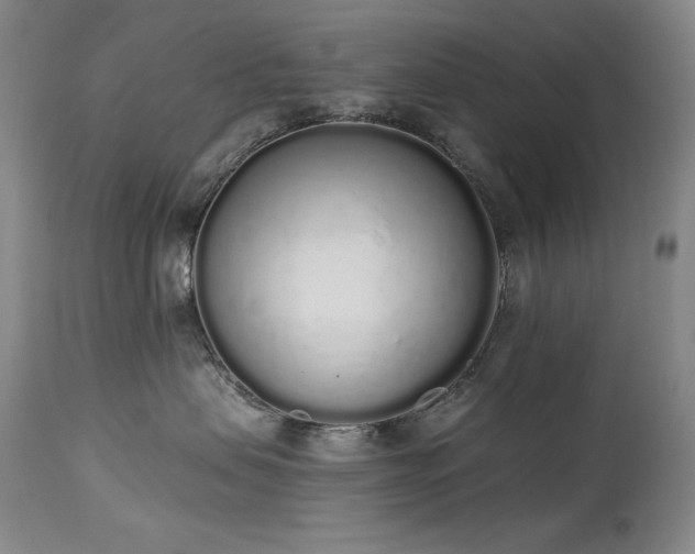 X0000114000479200910021321