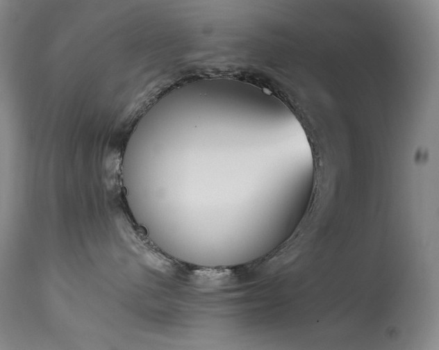 X0000114000480200910021321