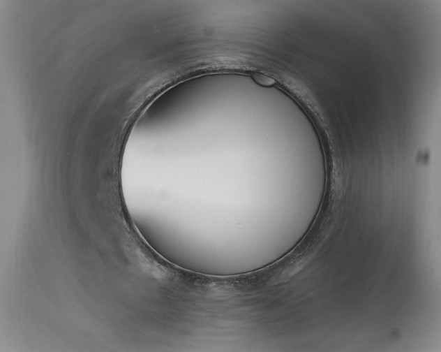 X0000114000481200910021320