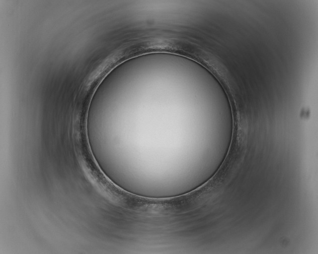 X0000114000482200910021320
