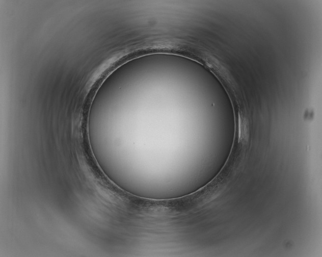 X0000114000483200910021320