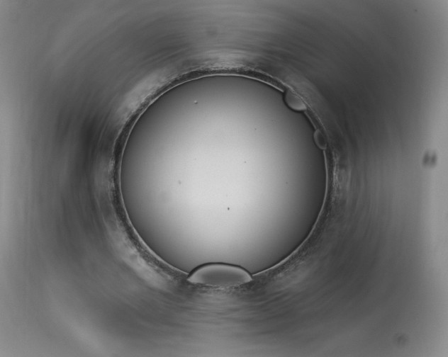 X0000114000485200910021320