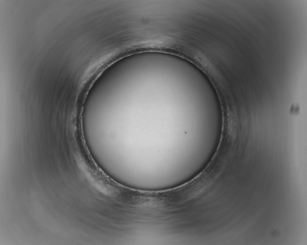 X0000114000486200910021320