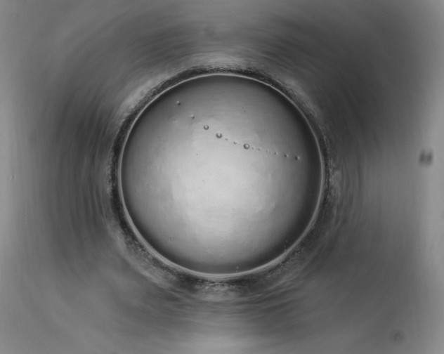 X0000114000487200910021320