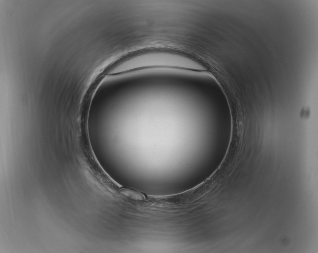 X0000114000488200910021320