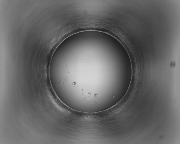 X0000114000489200910021320