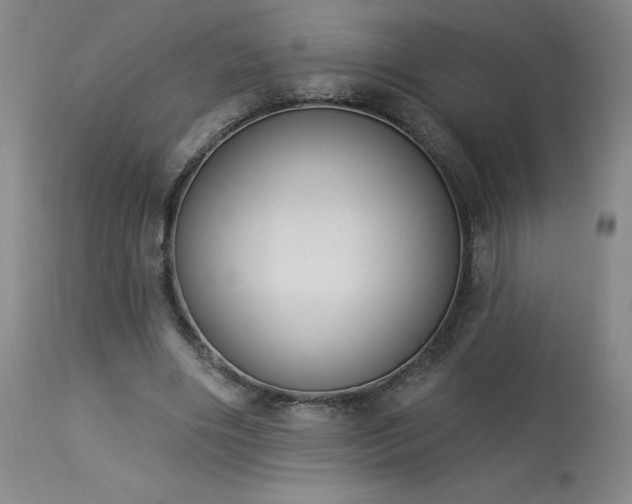X0000114000490200910021320