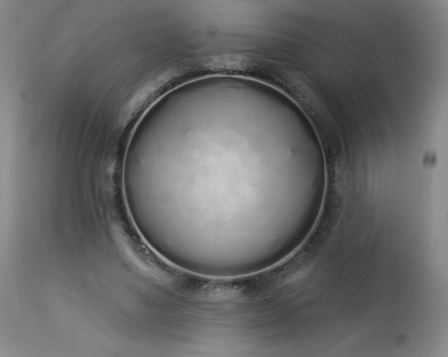 X0000114000491200910021320