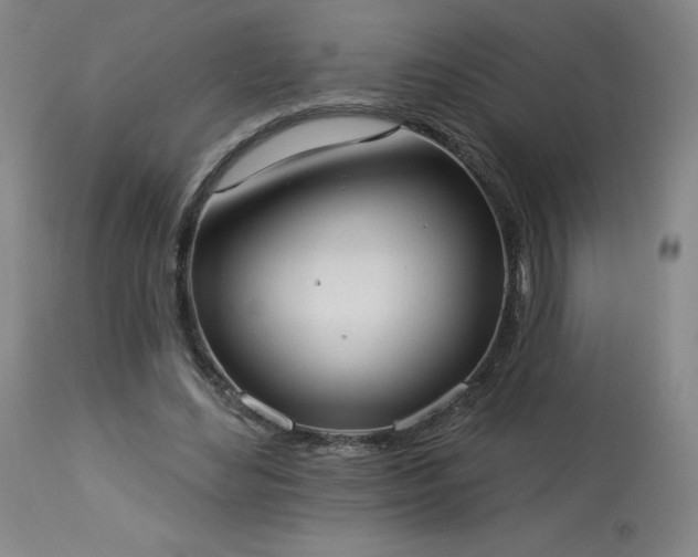 X0000114000492200910021320