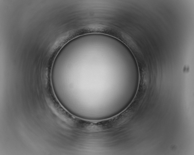 X0000114000494200910021320