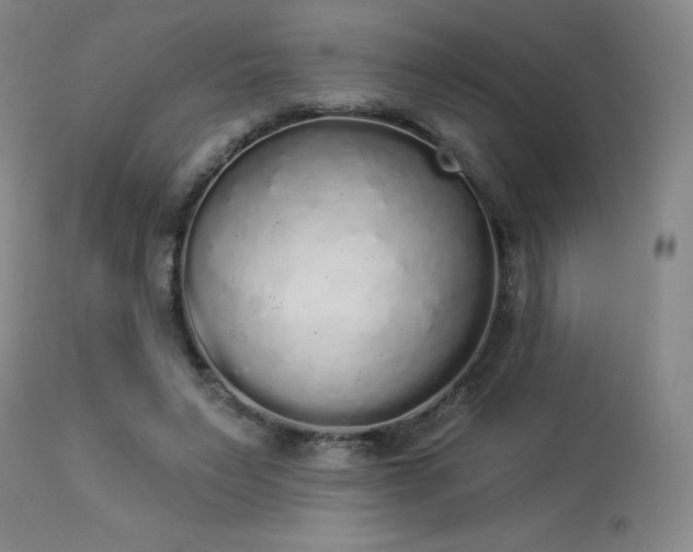 X0000114000495200910021319