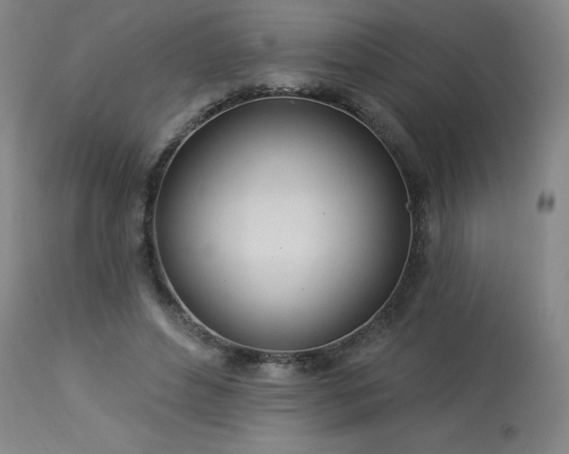 X0000114000496200910021319
