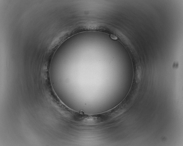 X0000114000497200910021319