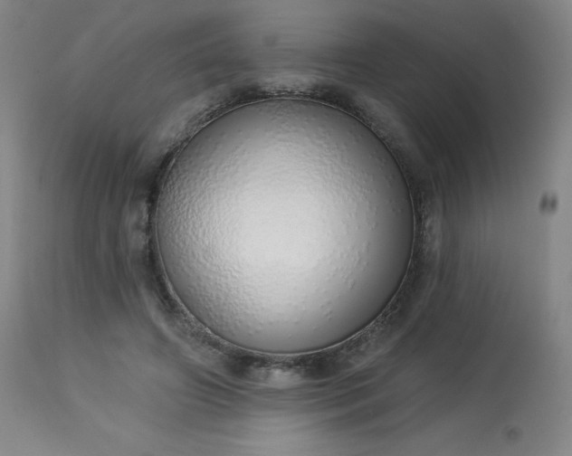 X0000114000498200910021319