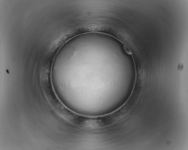 X0000114000499200910021319