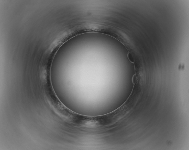 X0000114000500200910021319
