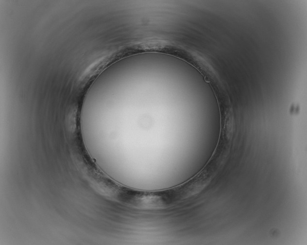 X0000114000501200910021319