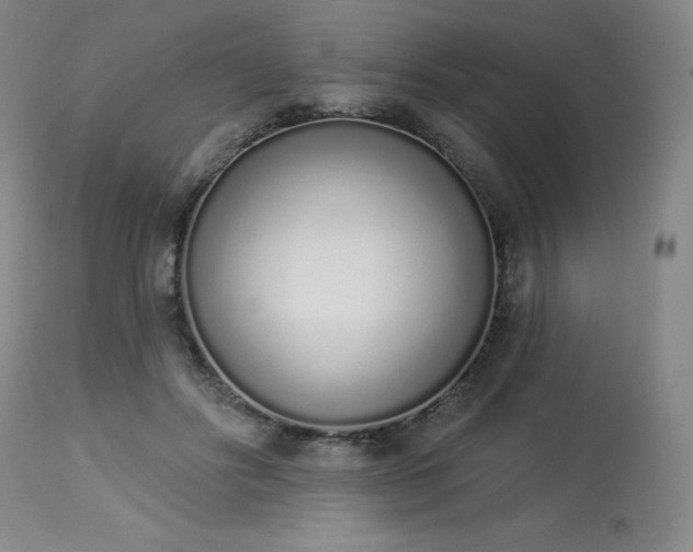 X0000114000502200910021319