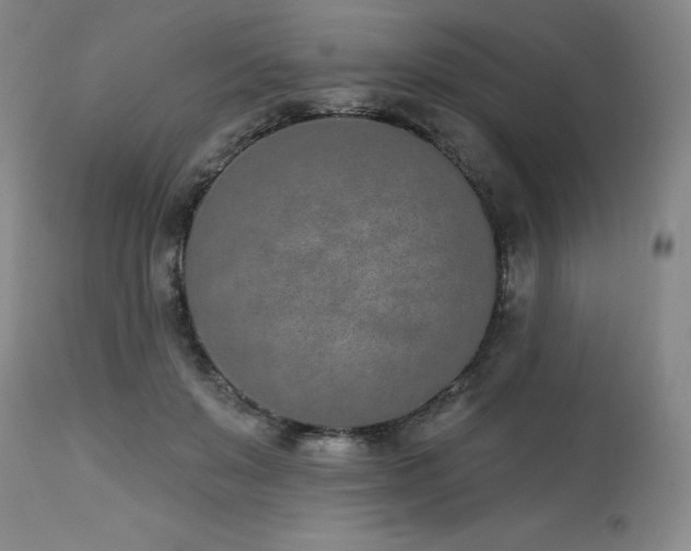 X0000114000503200910021319