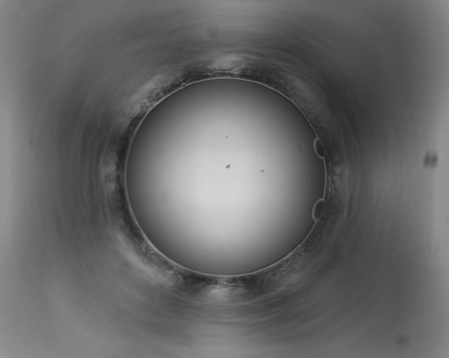 X0000114000504200910021319