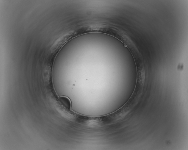 X0000114000505200910021319