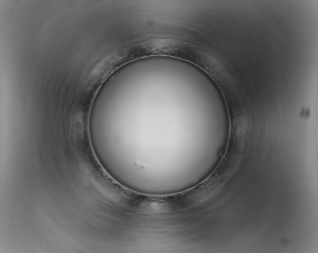 X0000114000506200910021319